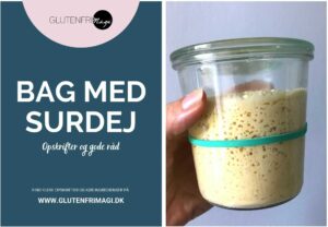 Glutenfri surdej e-bog